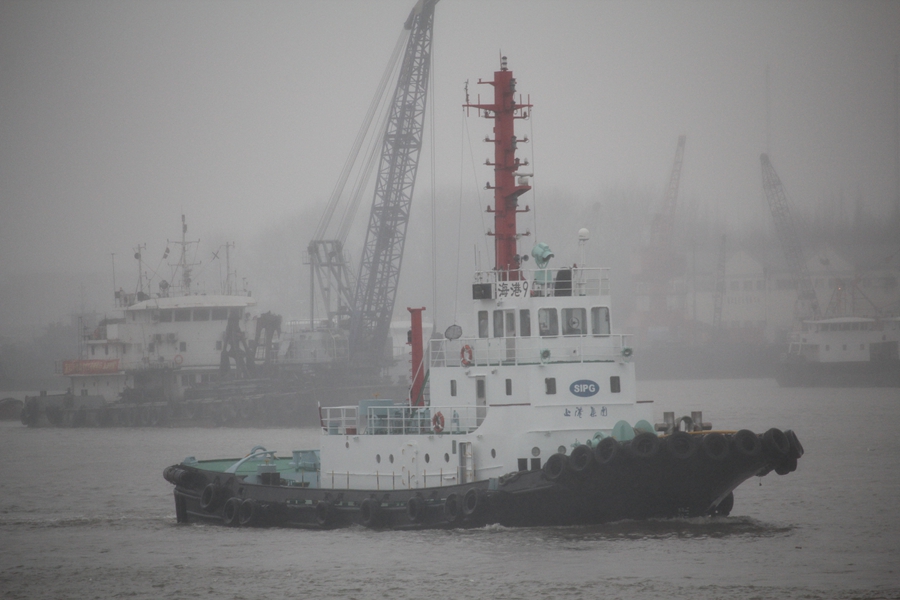 ����9 (2).jpg