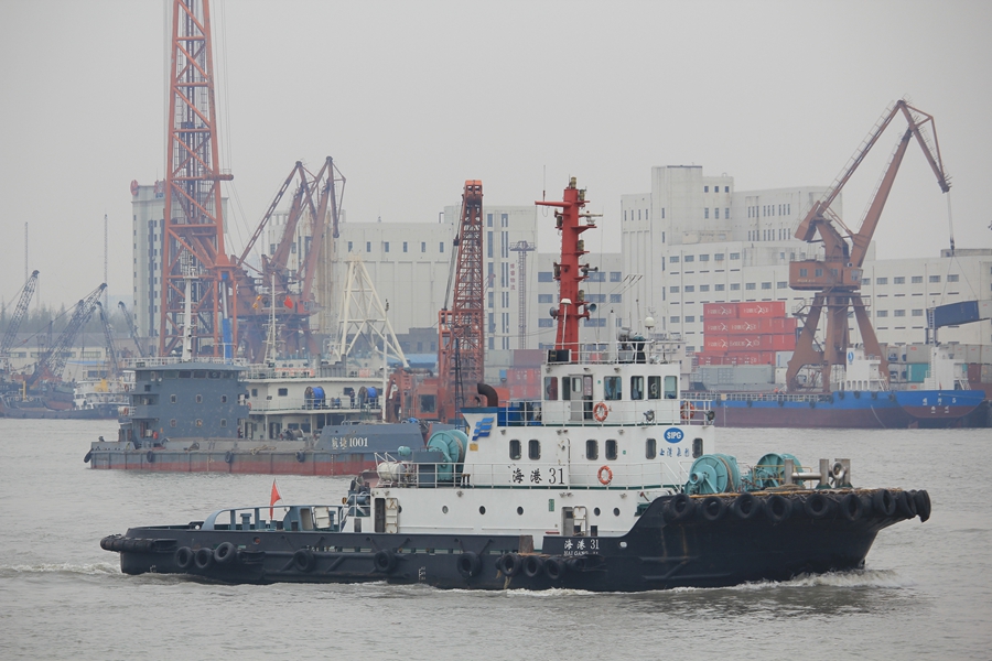 ����31 (2).jpg