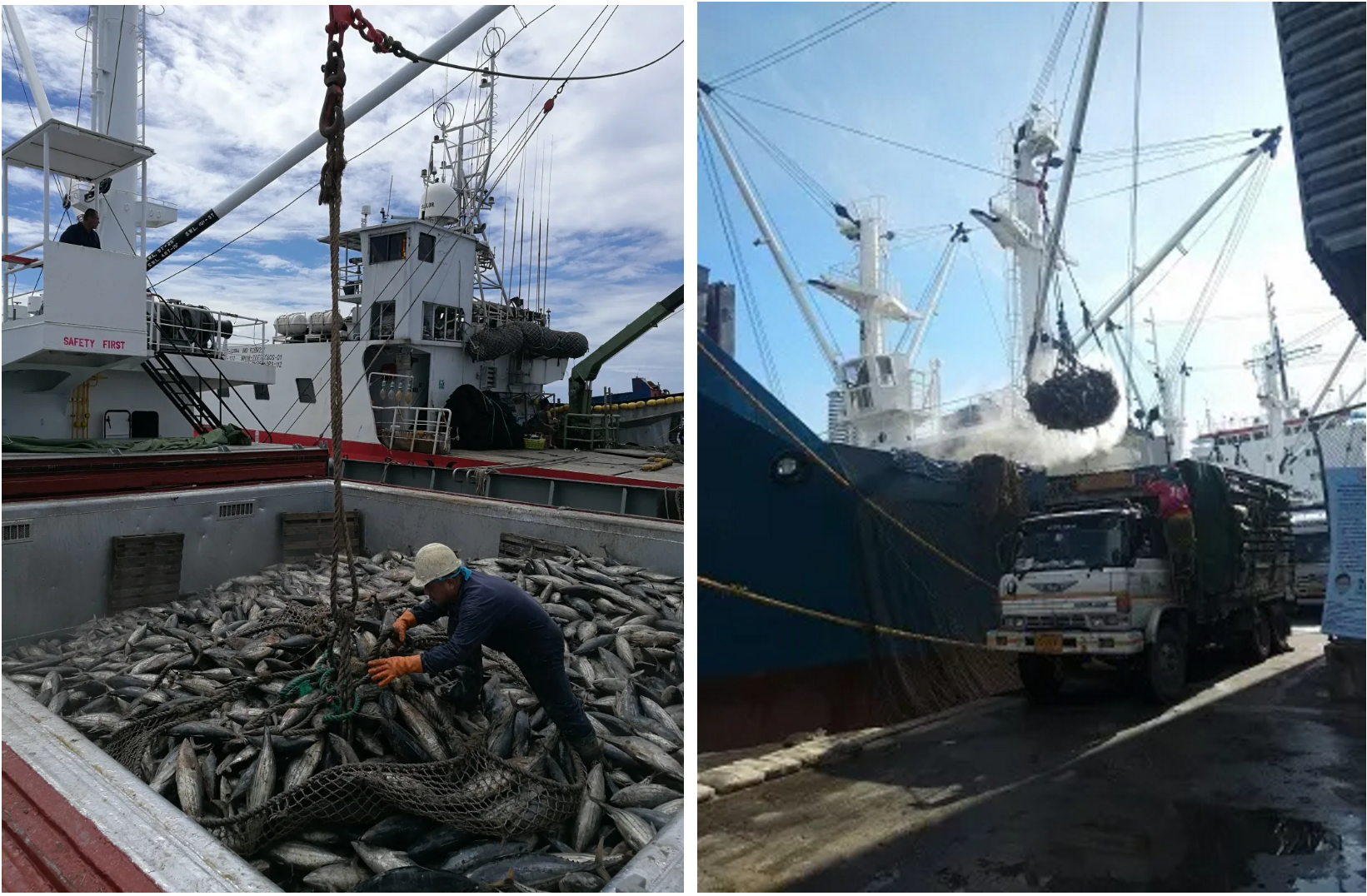 1-201120163Z1C5 (1).png